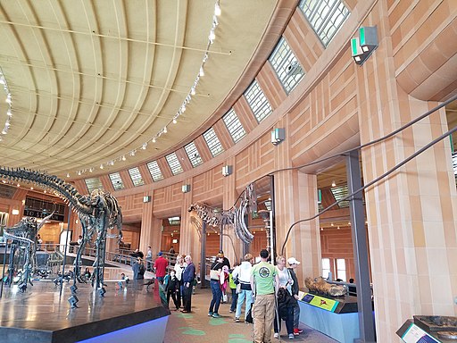 photograph of cincinnati's union terminal museum with people milling about the dinosaur exhibit