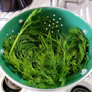 green strainer with fresh dill