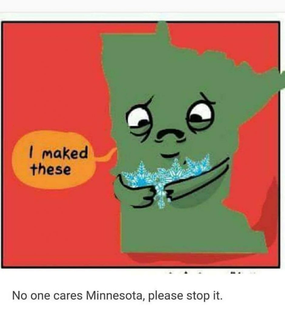 state of MN holding snowflakes with a sad face saying "i maked these"