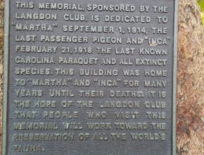 This is the inscription that is on the bronze plaque. This memorial sponsored by the Langdon Club, is dedicated to "Martha", September first, nineteen fourteen, the last passenger pigeon and "inca", February twenty first, nineteen eighteen the last known Carolina parquet and all extinct species. This building was home to "martha" and "Inca" for many years until their deaths. IT IS the hope of the Langdon Club that people who visit the memorial will work toward the preservation of all the world's fauna.