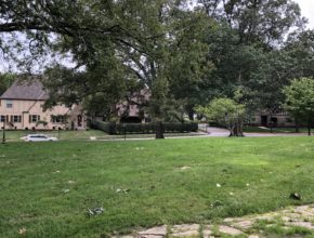 Park setting with homes in background and trees in foreground.