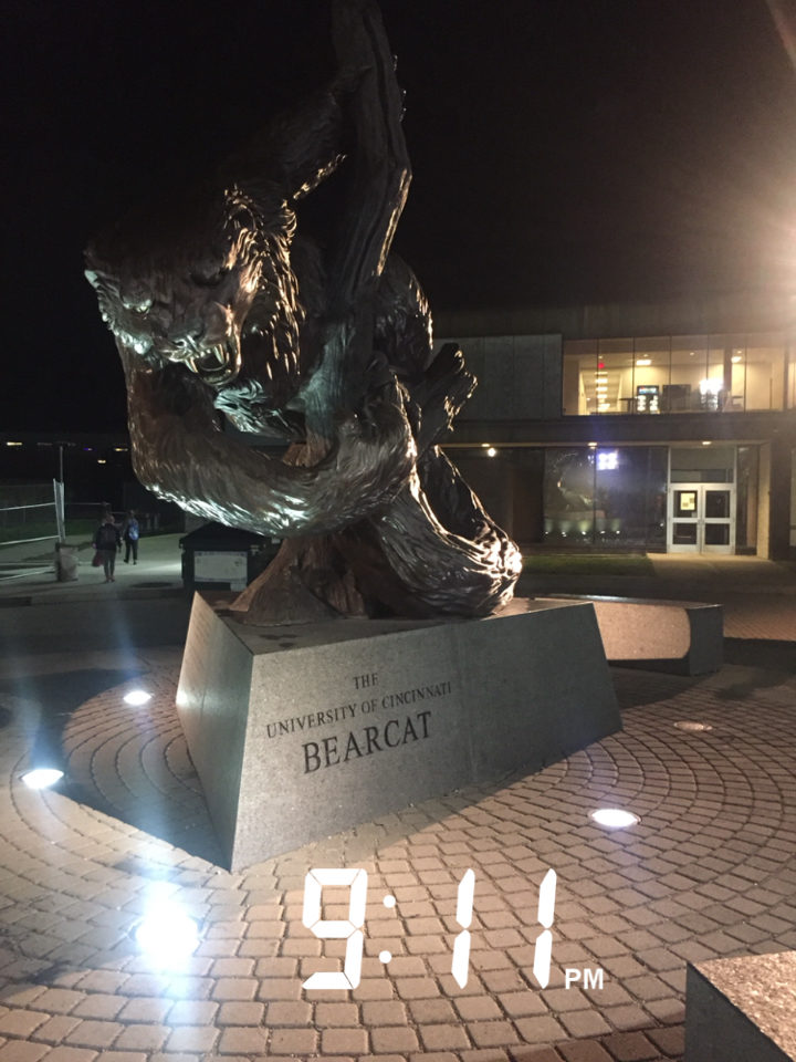 bronze bearcat statue at night