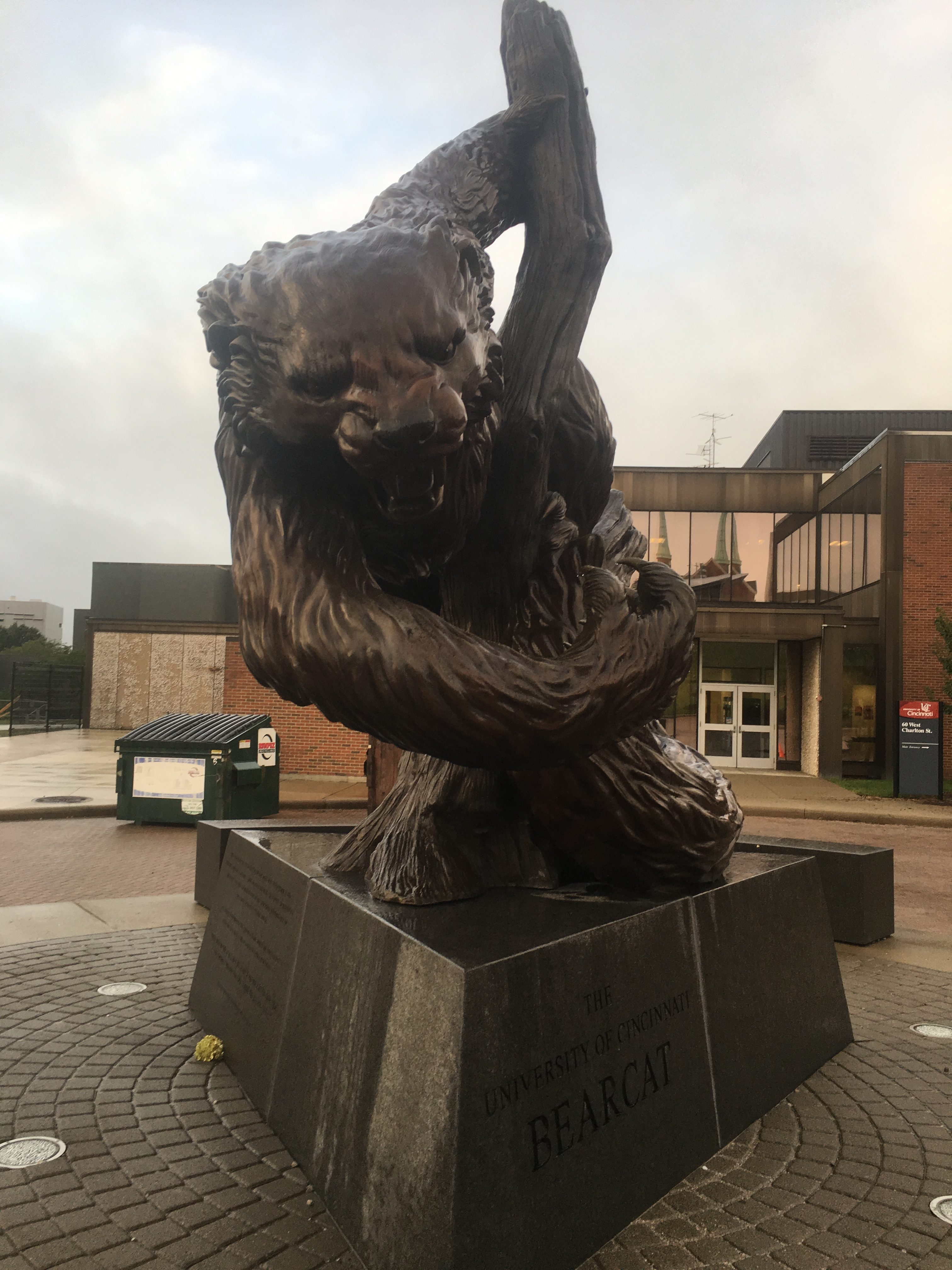 bearcat statue