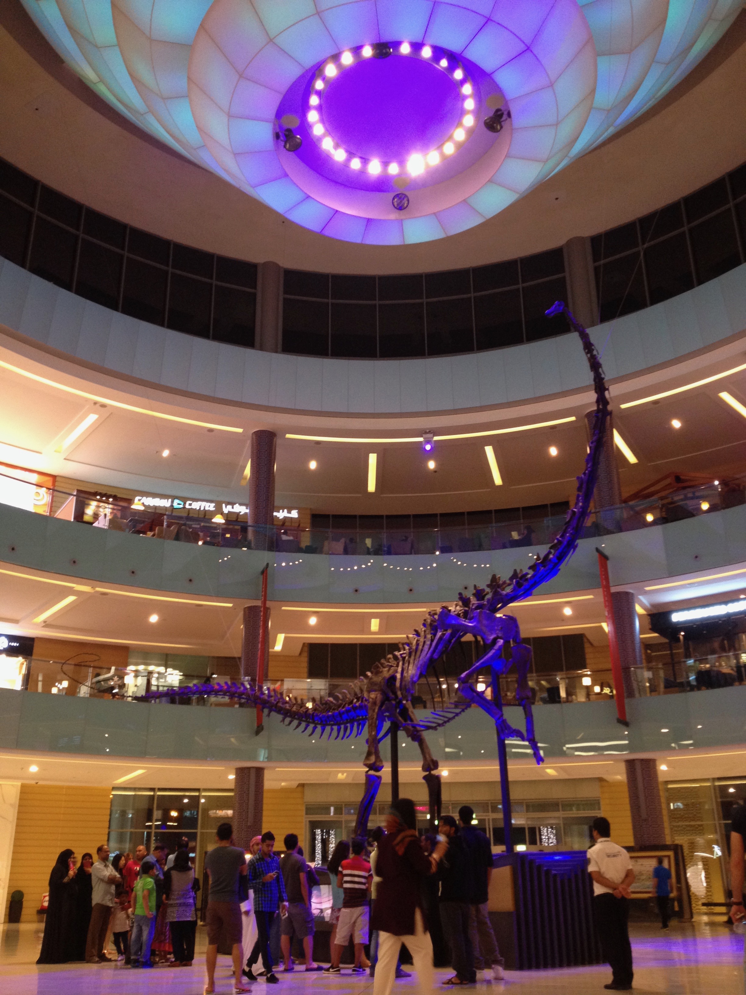 dinosaur fossil in middle of a shopping mall