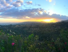 Panoramic shot of the view from the observatory, filled with the amazing landscape of LA