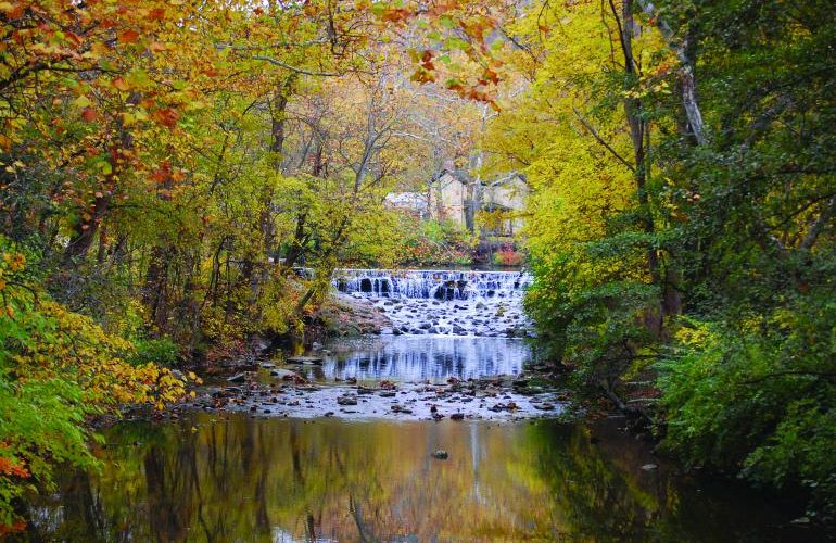 waterfall with fall foliage