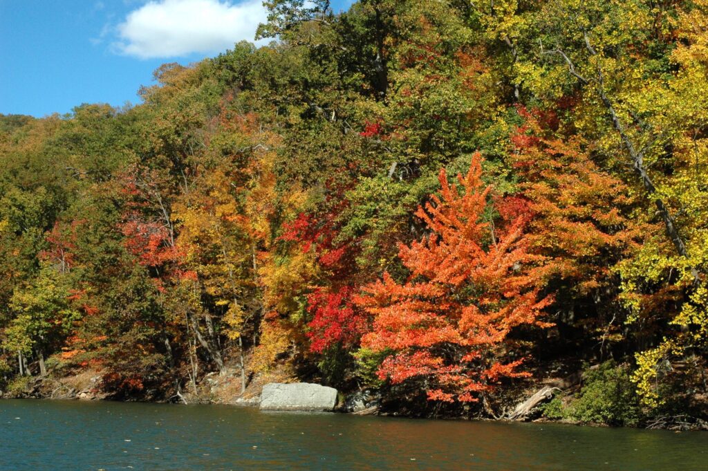 lake with fall foliage