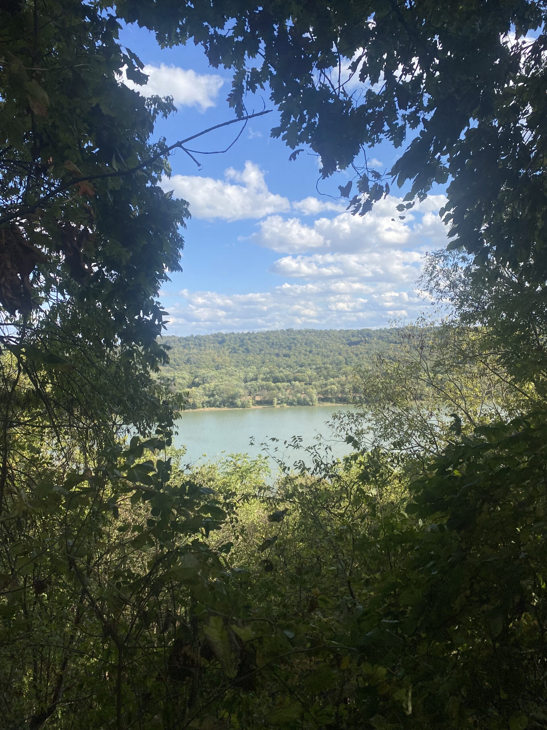 An image of Shawnee lookout. A river is seen through an opening of trees on a sunny day