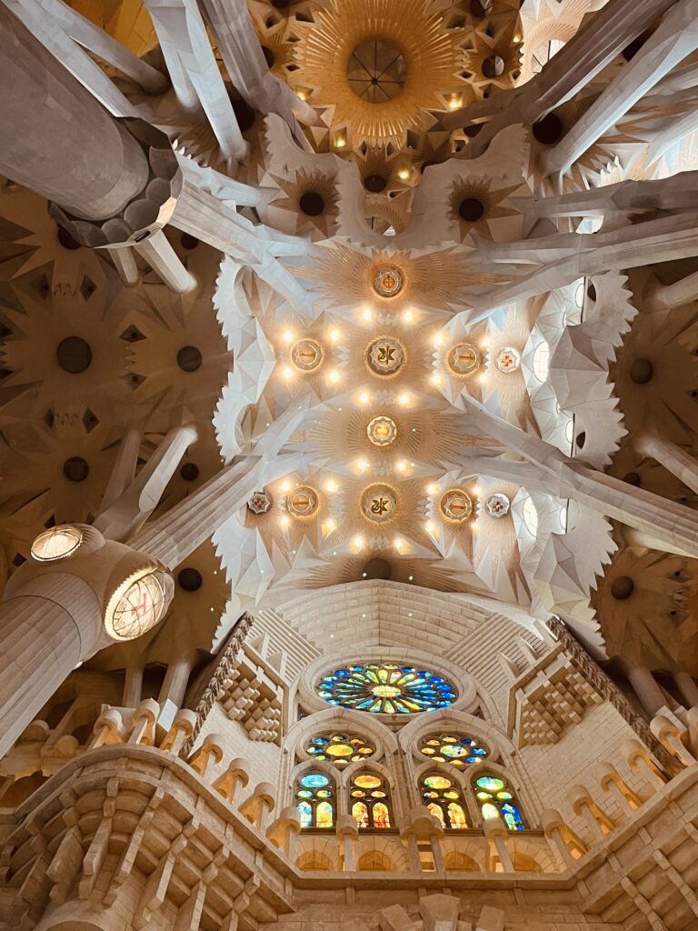 A picture of the giant vaulted ceilings