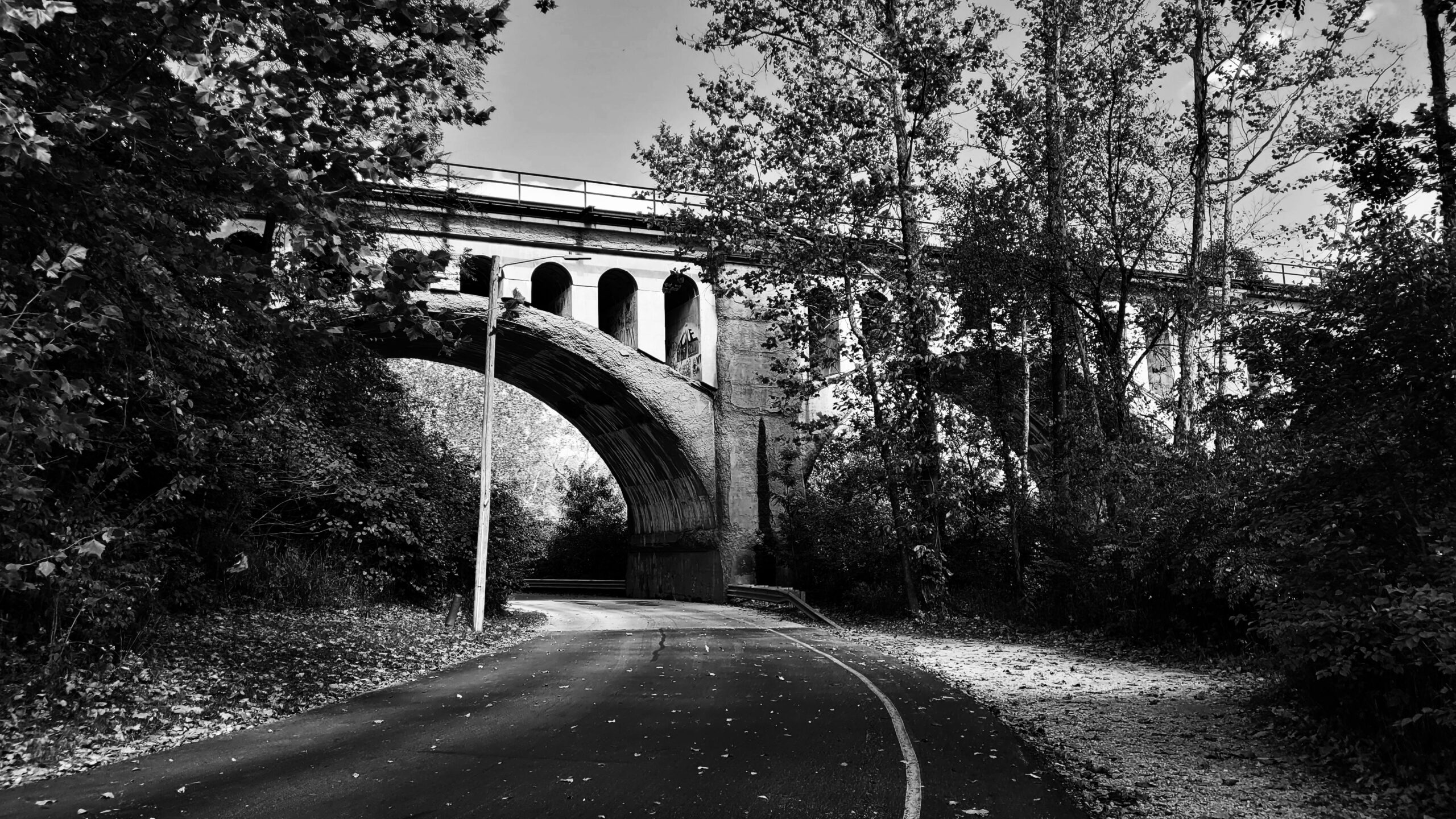 A black and white photo of a road leading under a bridge. The spandrel arch bridge is surrounded by trees