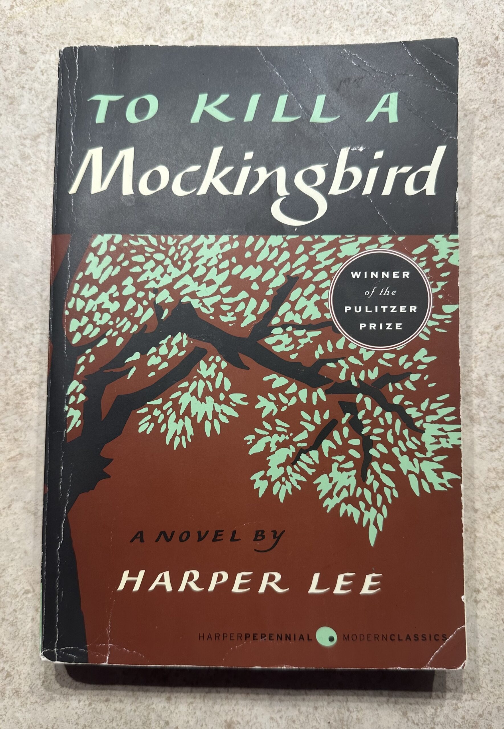 A paperback copy of "To Kill a Mockingbird"