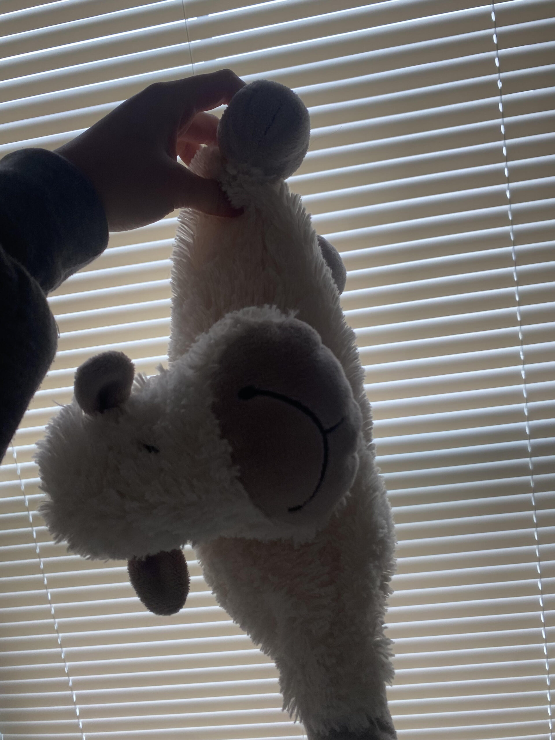 a stuffed lamb