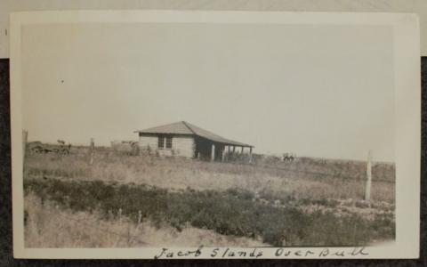 1922 Industrial Survey - Jacob Stands Over Bull