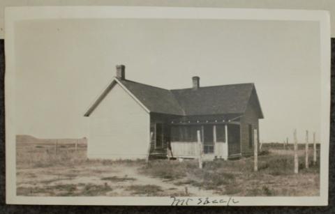 1922 Industrial Survey - Mountain Sheep